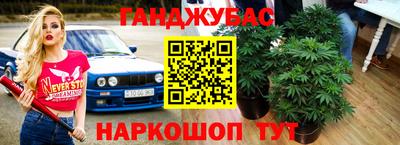 спайс Моздок