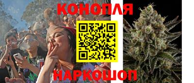 спайс Моздок